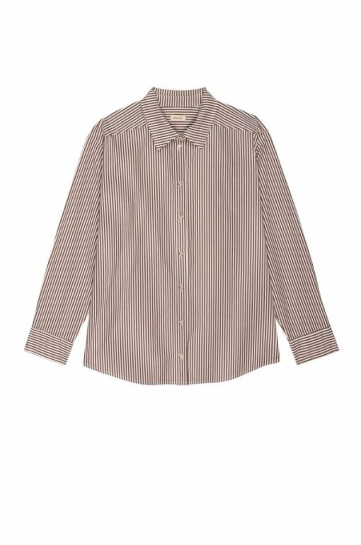 Themodestmoth.shop195325356f 2