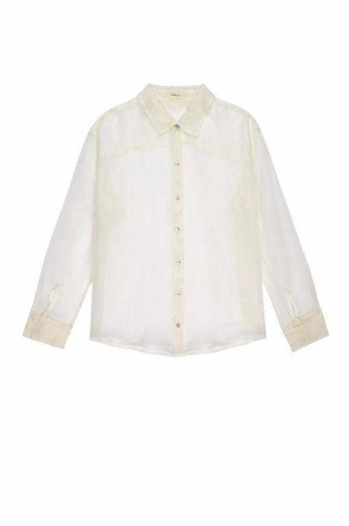 Themodestmoth.shop81a7539c88 2